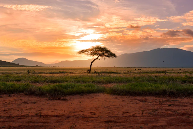 10 Consigli per il Primo Safari in Africa