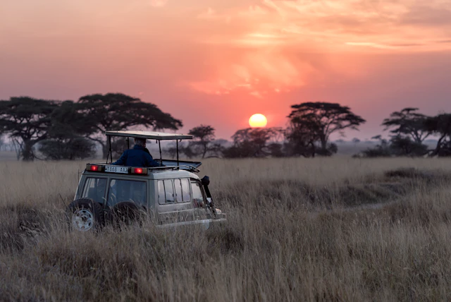 Come Scalare il Kilimanjaro: Guida Completa