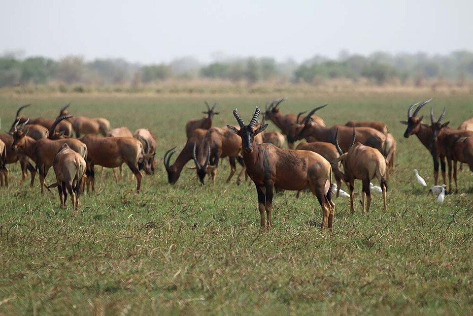 Veduta — Ciad, Africa Centrale