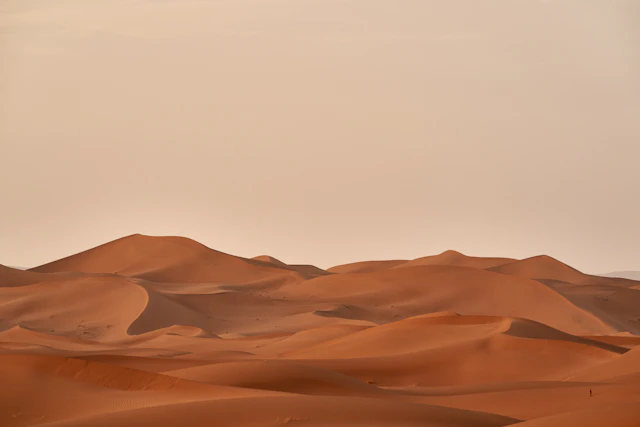 Veduta — Sahara Occidentale, Africa del Nord