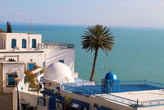 Veduta — Tunisia, Africa del Nord